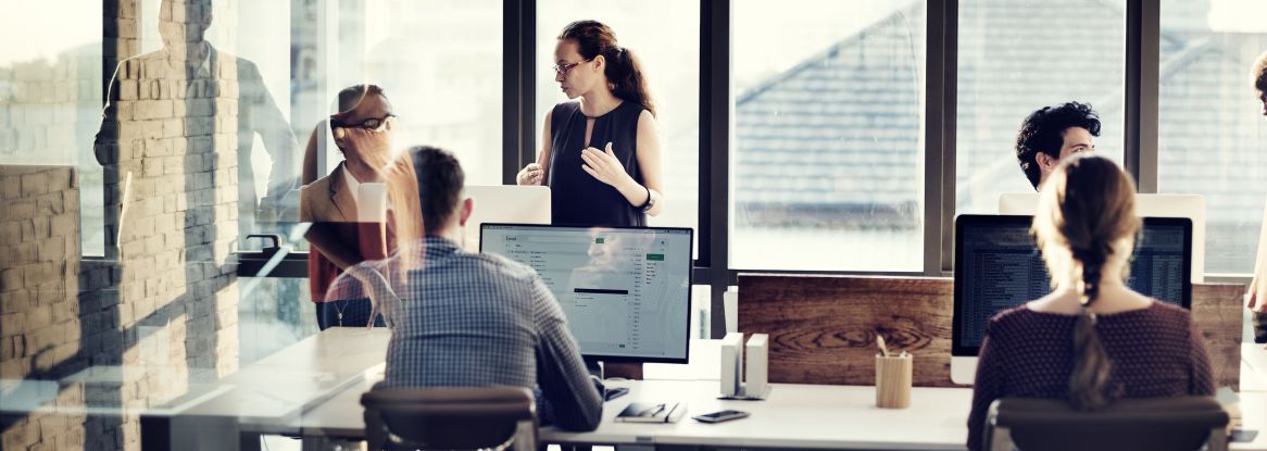 Mexal 3Cx - Ravenna, Faenza, Imola, Forli, Cesena